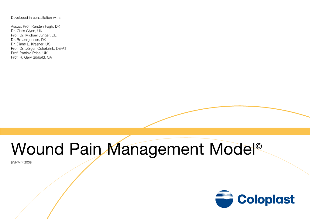 Wound Pain Management Model© (WPM)© 2008 Wound Pain Management Model©