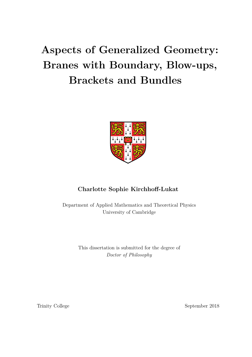 Aspects of Generalized Geometry: Branes with Boundary, Blow-Ups, Brackets and Bundles