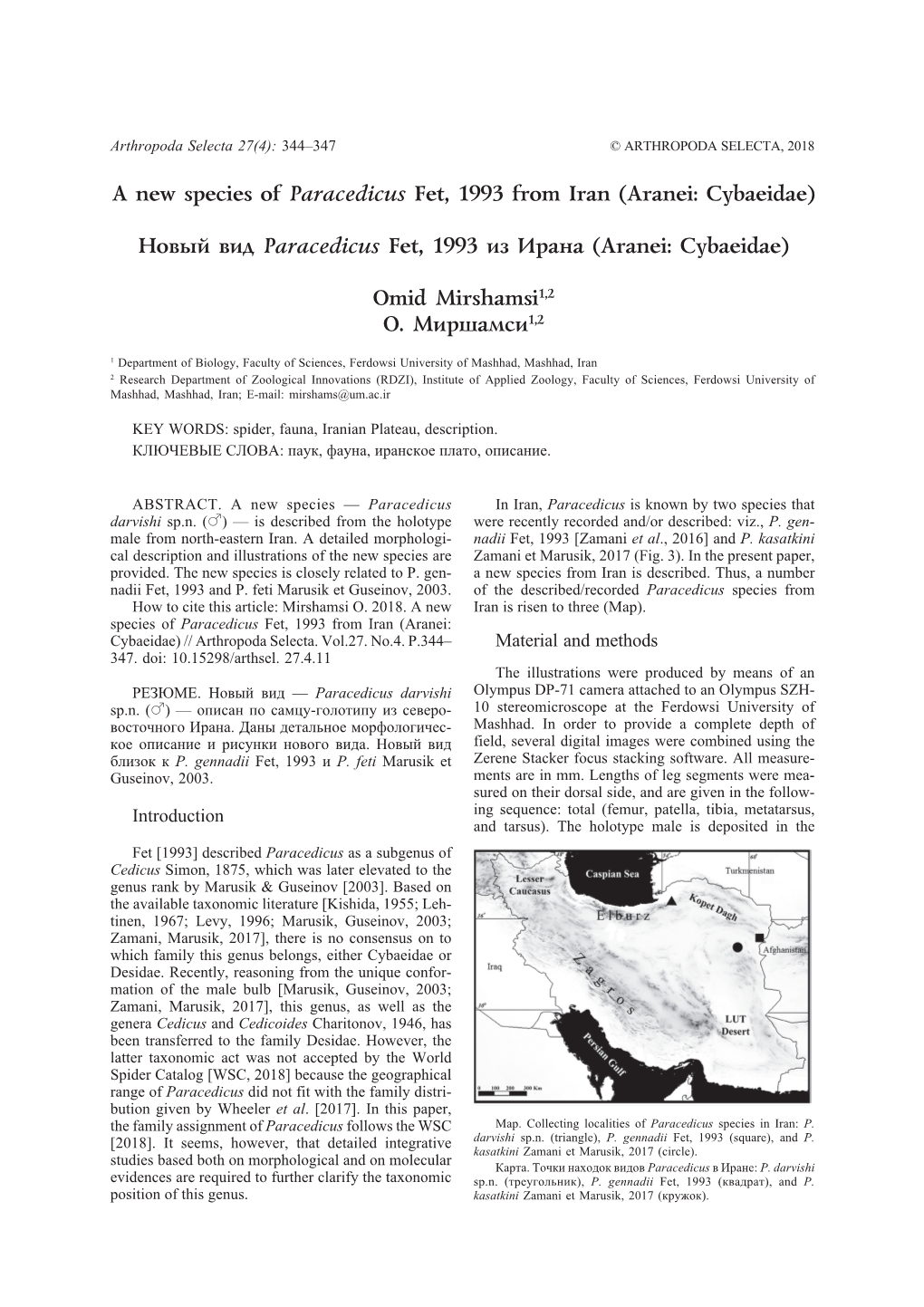 A New Species of Paracedicus Fet, 1993 from Iran (Aranei: Cybaeidae)