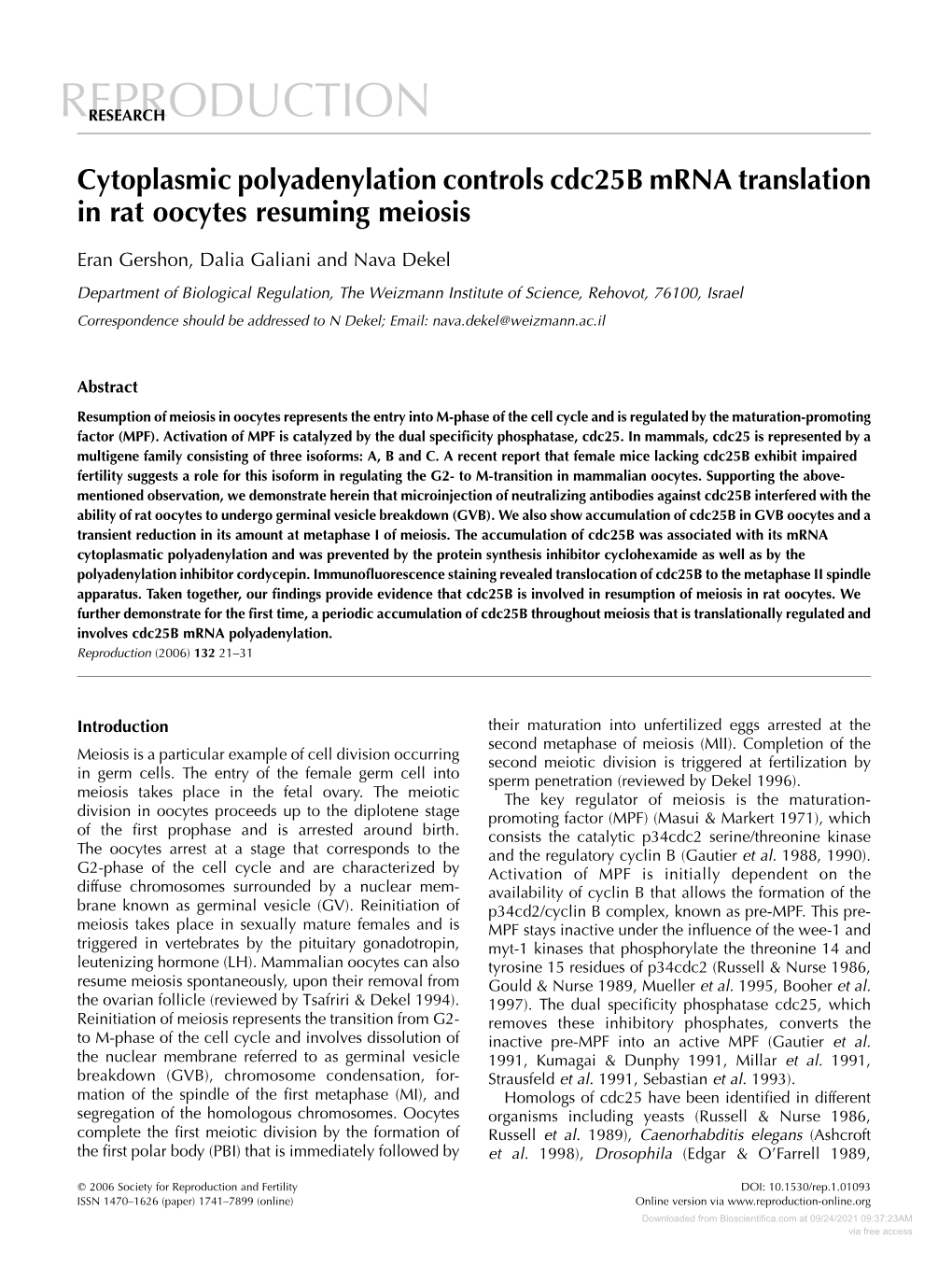 Cytoplasmic Polyadenylation Controls Cdc25b Mrna Translation in Rat Oocytes Resuming Meiosis