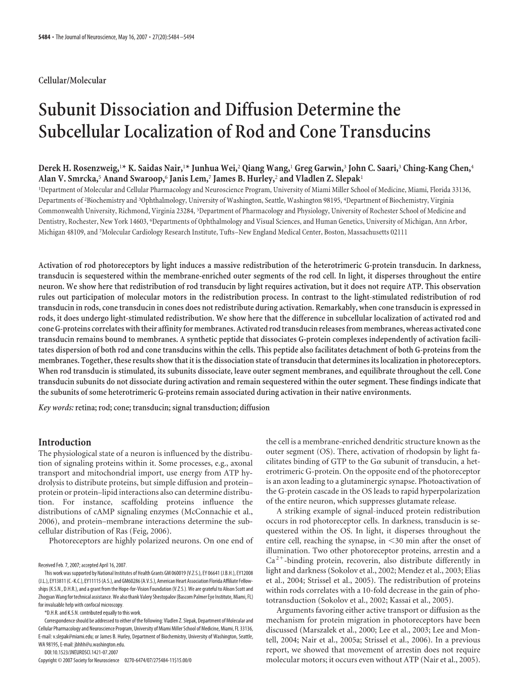 Subunit Dissociation and Diffusion Determine the Subcellular Localization of Rod and Cone Transducins