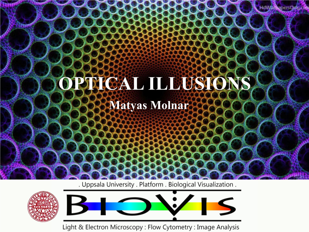 OPTICAL ILLUSIONS Matyas Molnar More Info, Examples, Sources