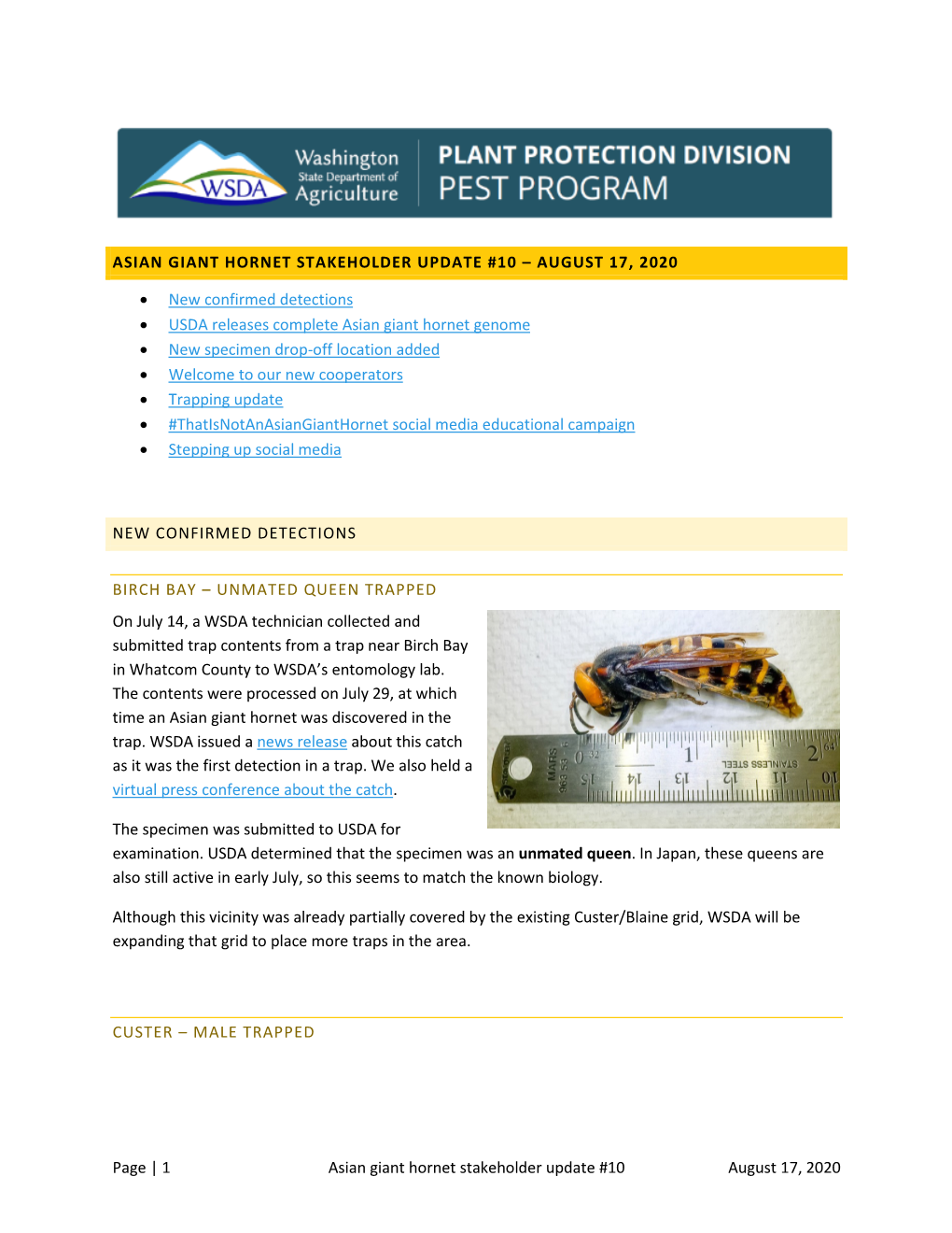 Page | 1 Asian Giant Hornet Stakeholder Update #10 August 17