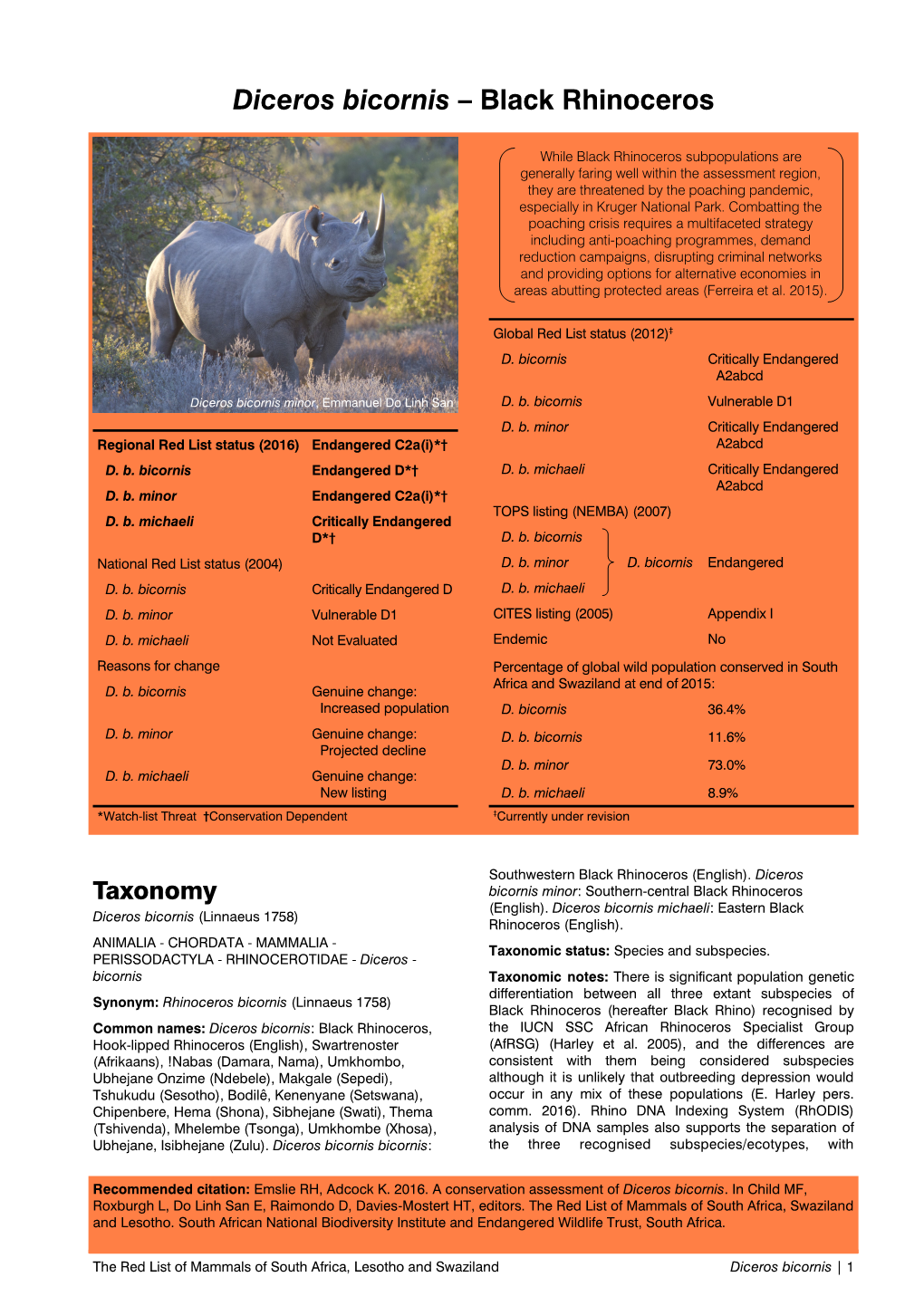 Diceros Bicornis – Black Rhinoceros