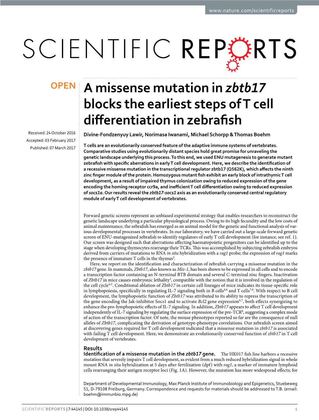 A Missense Mutation in Zbtb17 Blocks the Earliest Steps of T Cell