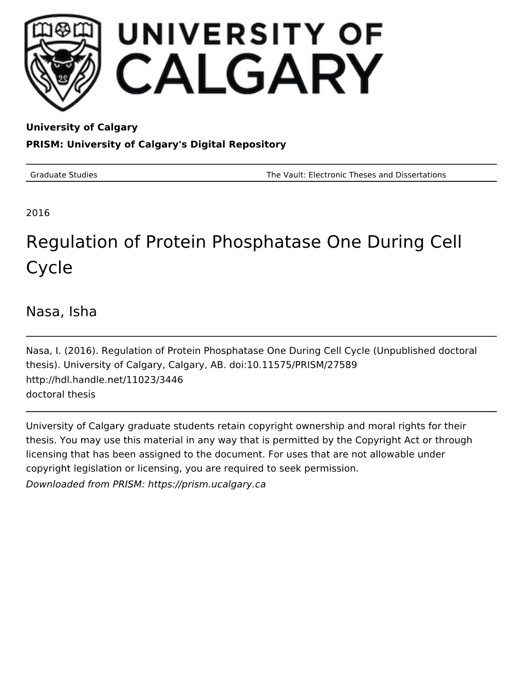 Regulation of Protein Phosphatase One During Cell Cycle