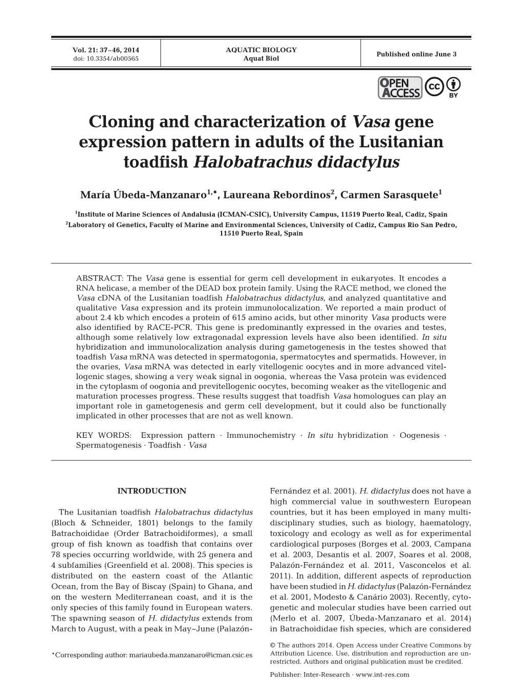 Cloning and Characterization of Vasa Gene Expression Pattern in Adults of the Lusitanian Toadfish Halobatrachus Didactylus