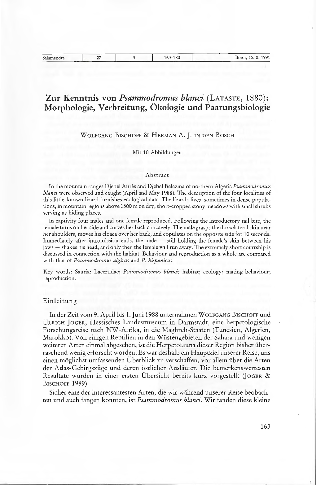Zur Kenntnis Von Psammodromus Blanci (LATASTE, 1880): Morphologie, Verbreitung, Ökologie Und Paarungsbiologie
