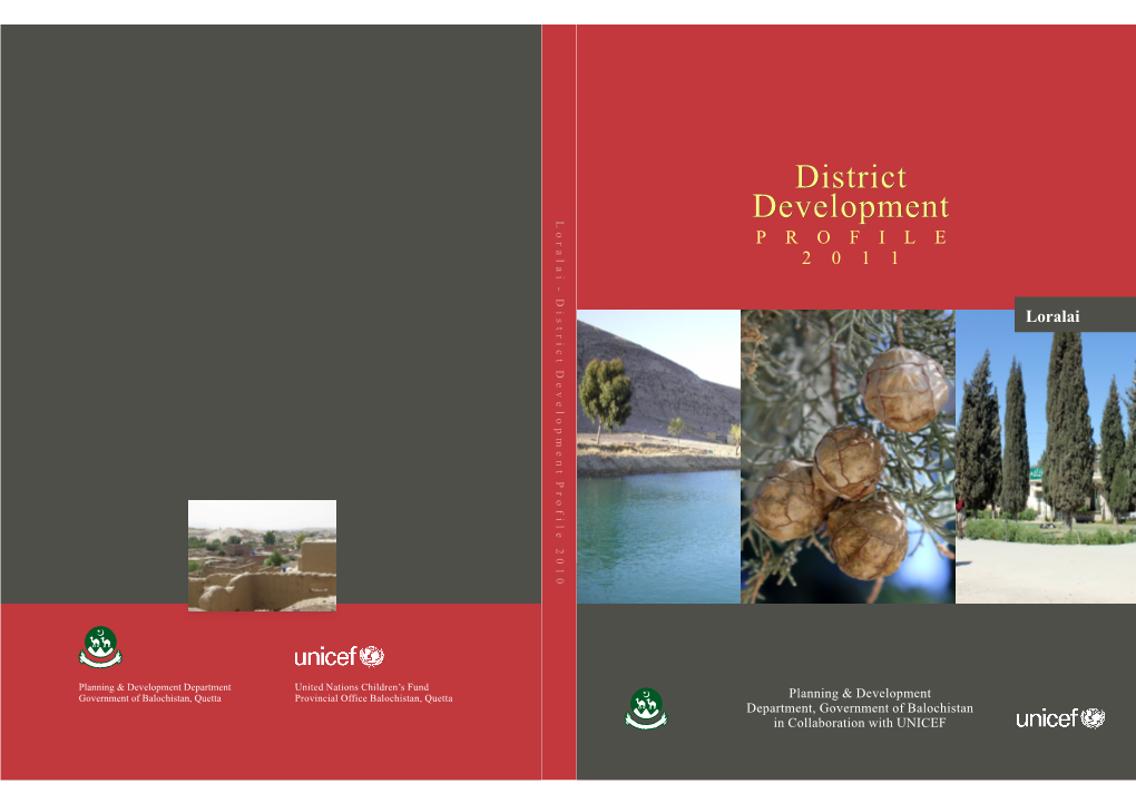 Development Profile District Loralai