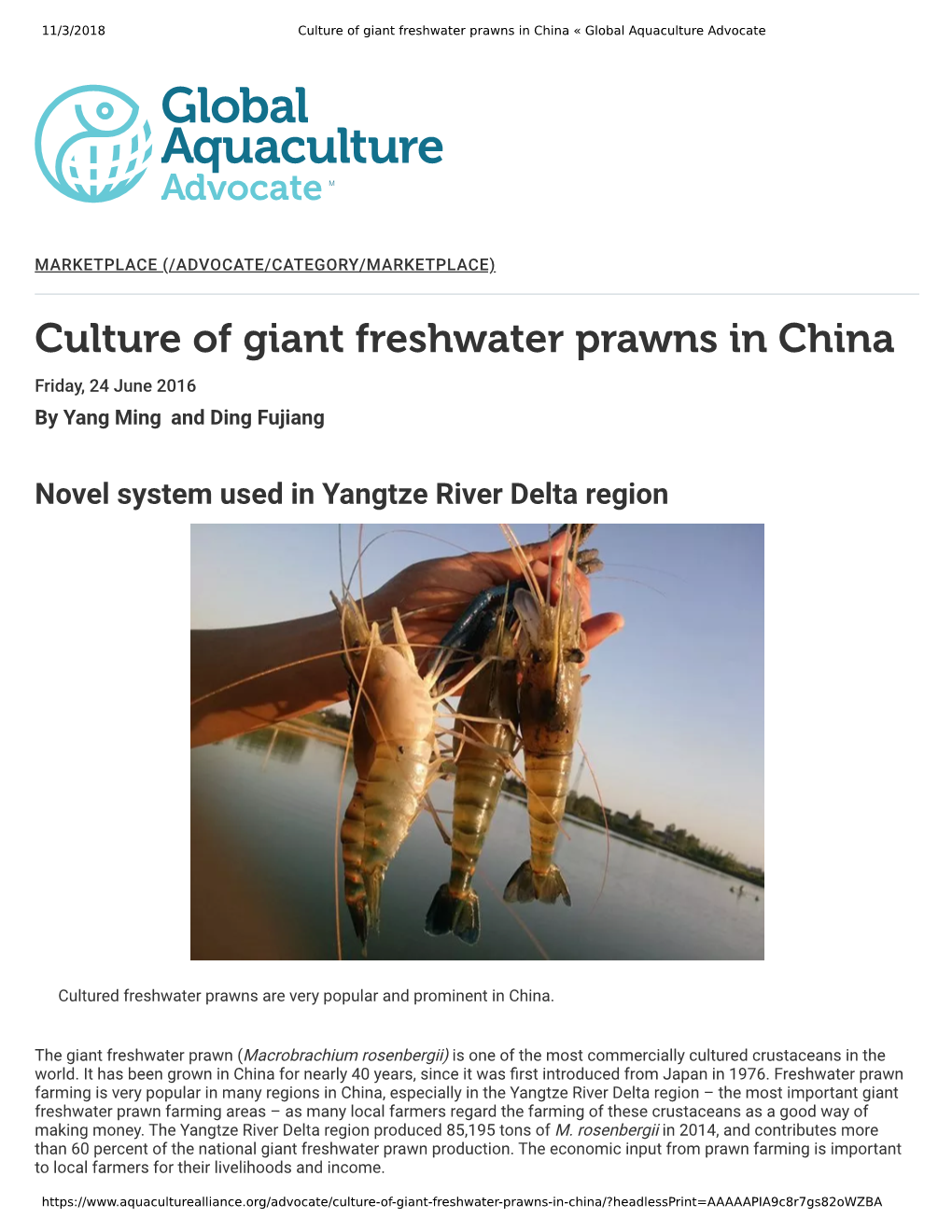 Culture of Giant Freshwater Prawns in China « Global Aquaculture Advocate