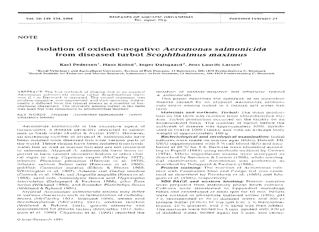 Isolation of Oxidase-Negative Aeromonas Salmonicida from Diseased Turbot Scophthalmus Maximus