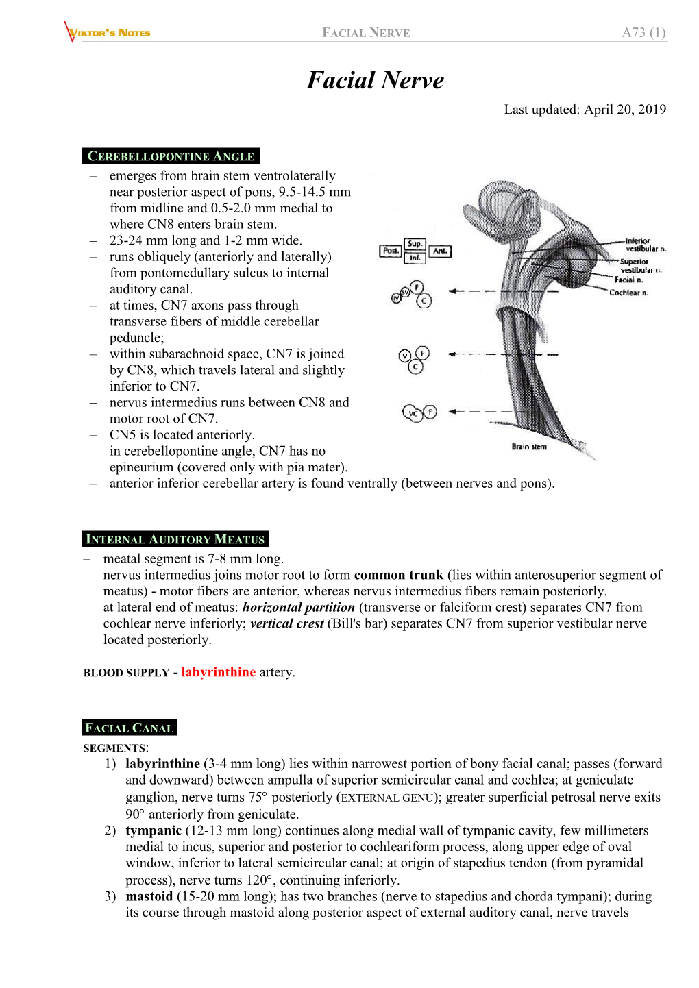 Facial Nerve A73 (1)