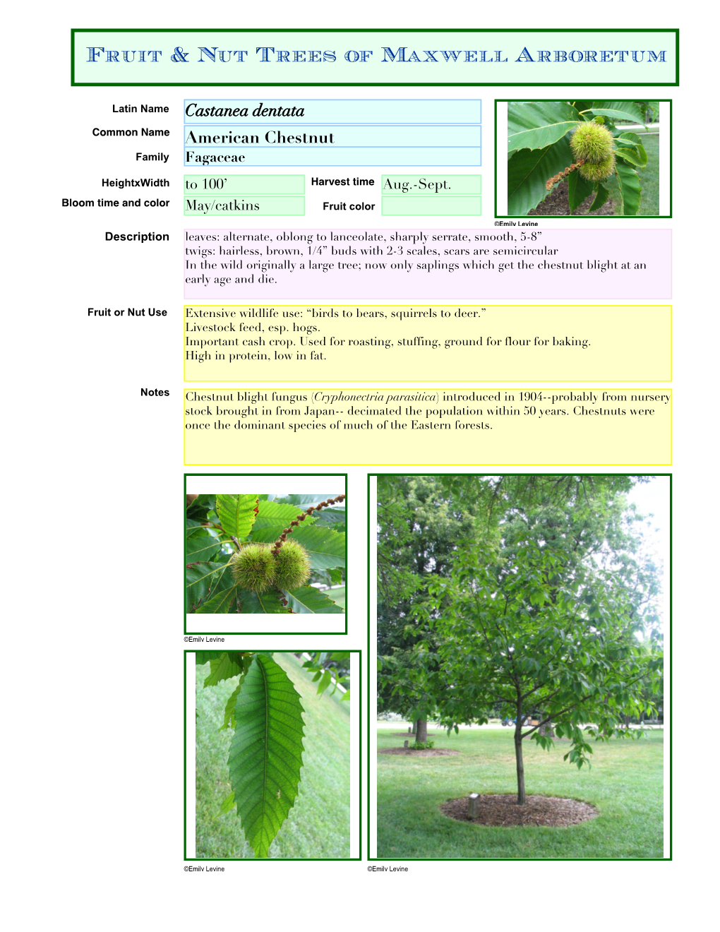 Fruit & Nut Trees of Maxwell Arboretum