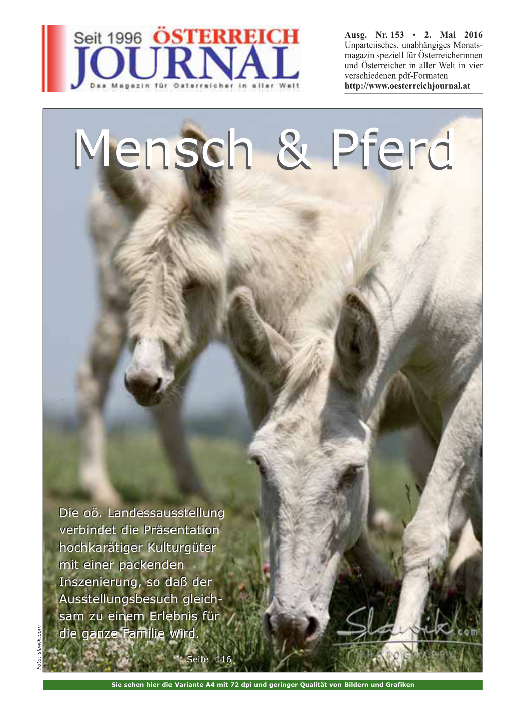 Mensch & Pferd