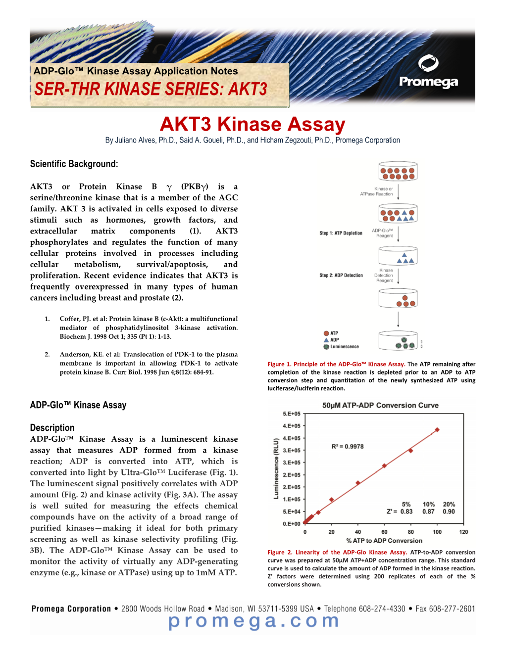 AKT3 AKT3 Kinase Assay