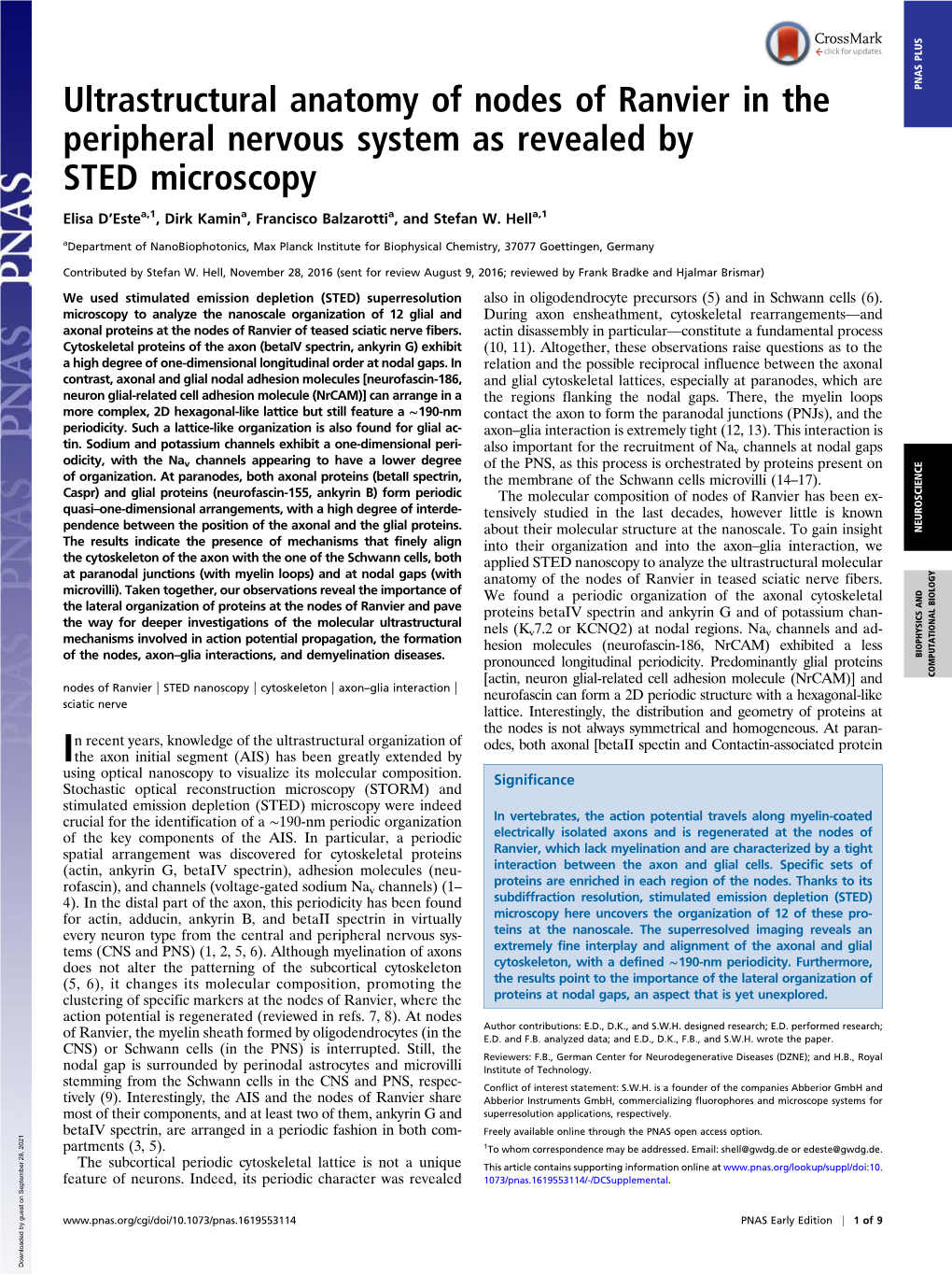 Ultrastructural Anatomy of Nodes of Ranvier in the Peripheral Nervous