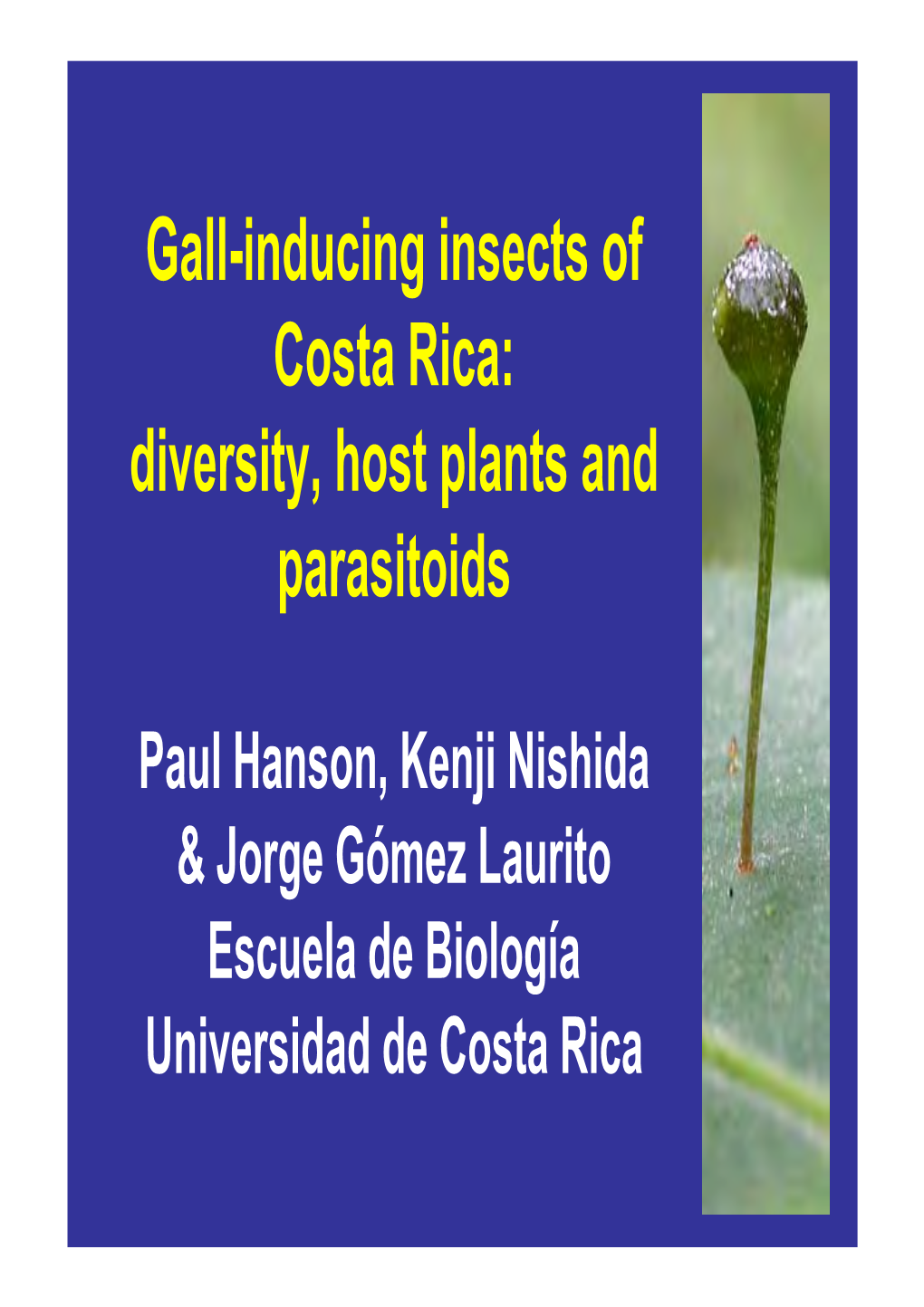 Gall-Inducing Insects of Costa Rica: Diversity, Host Plants and Parasitoids