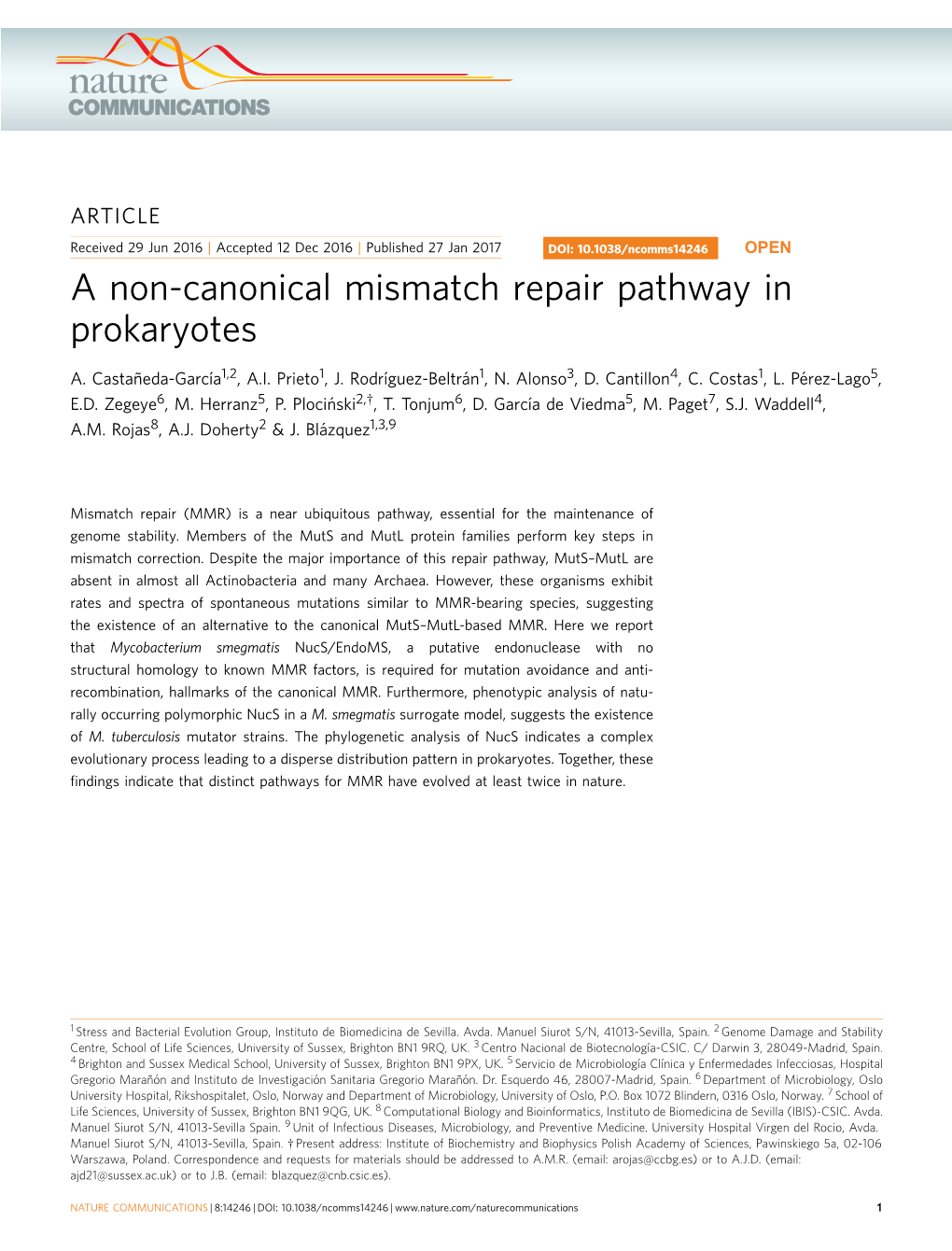 A Non-Canonical Mismatch Repair Pathway in Prokaryotes