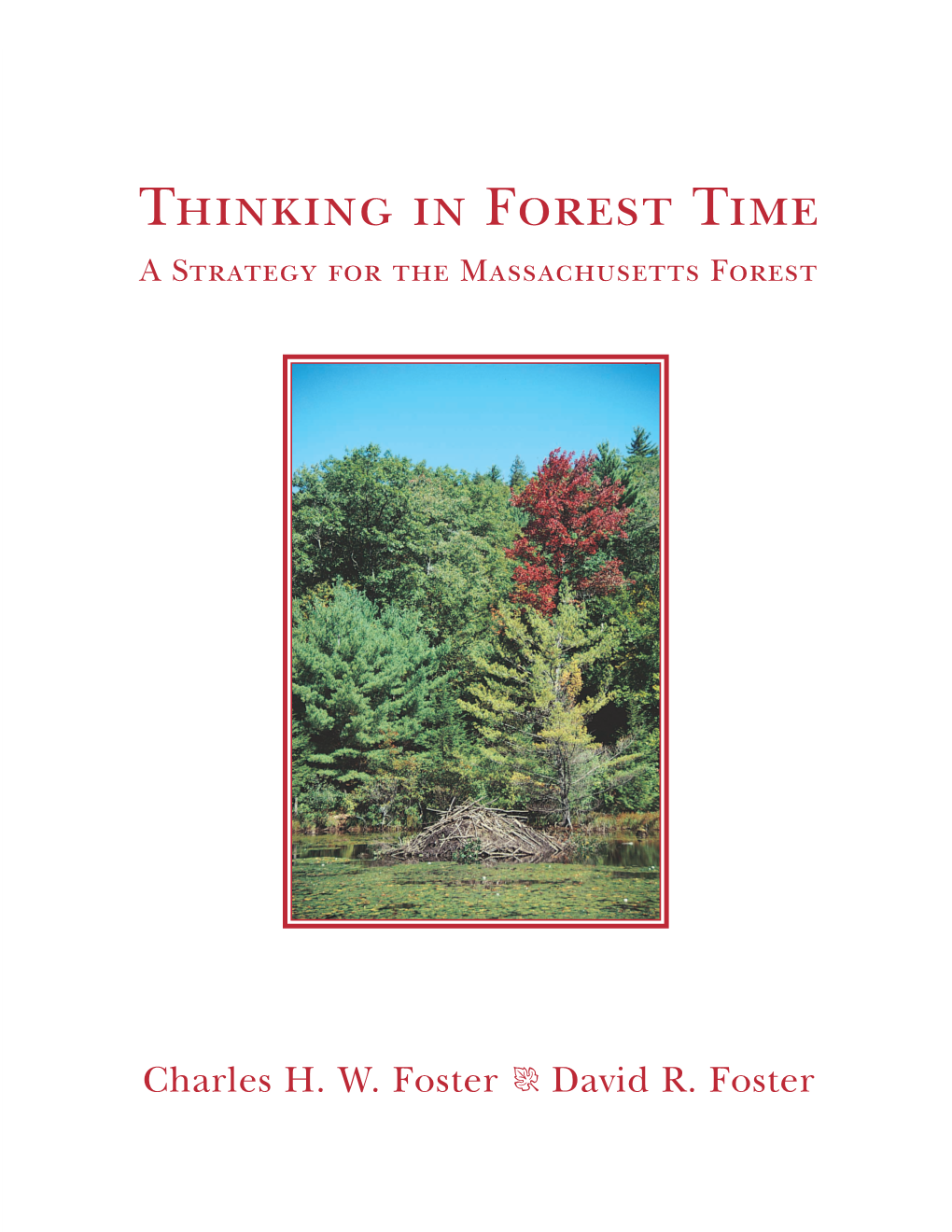 Thinking in Forest Time a Strategy for the Massachusetts Forest