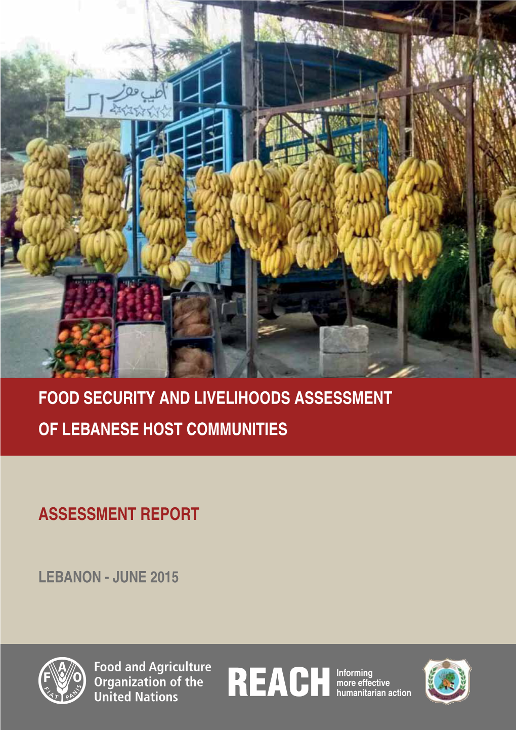 Food Security and Livelihoods Assessment of Lebanese Host Communities Assessment Report