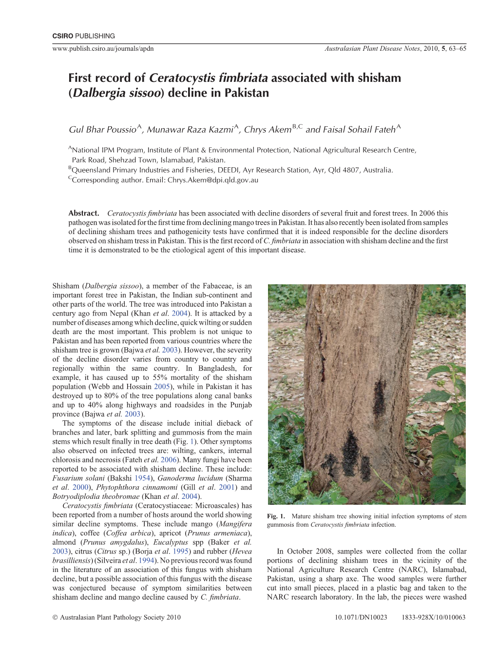 First Record of Ceratocystis Fimbriata Associated with Shisham (Dalbergia Sissoo) Decline in Pakistan