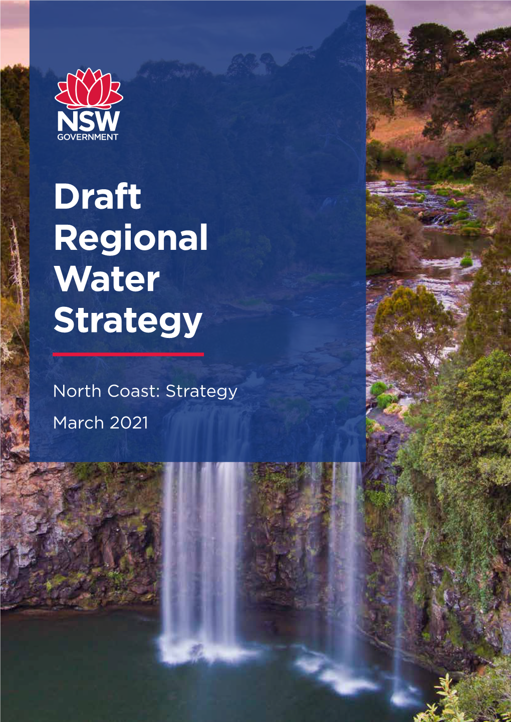 Draft Regional Water Strategy