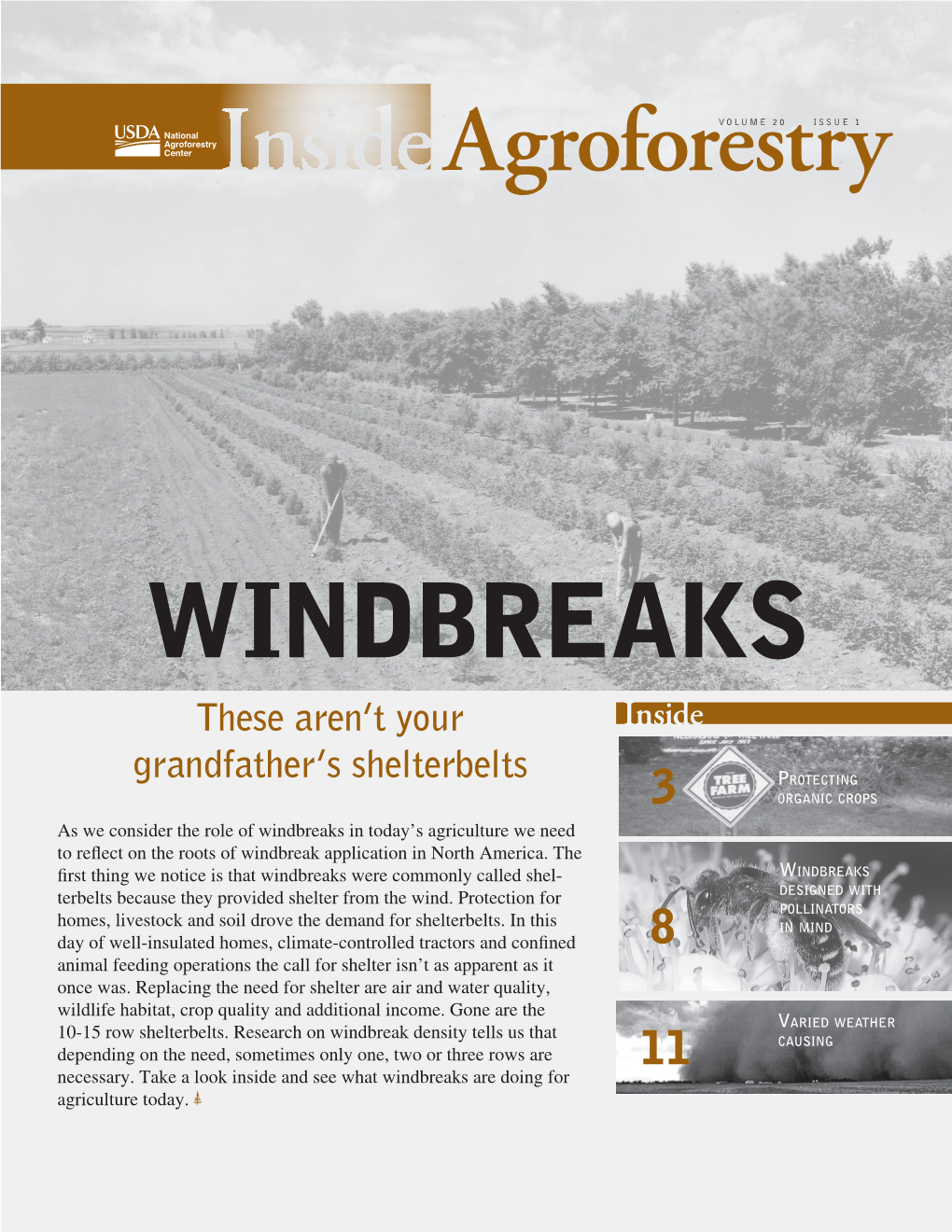 WINDBREAKS These Aren’T Your Inside