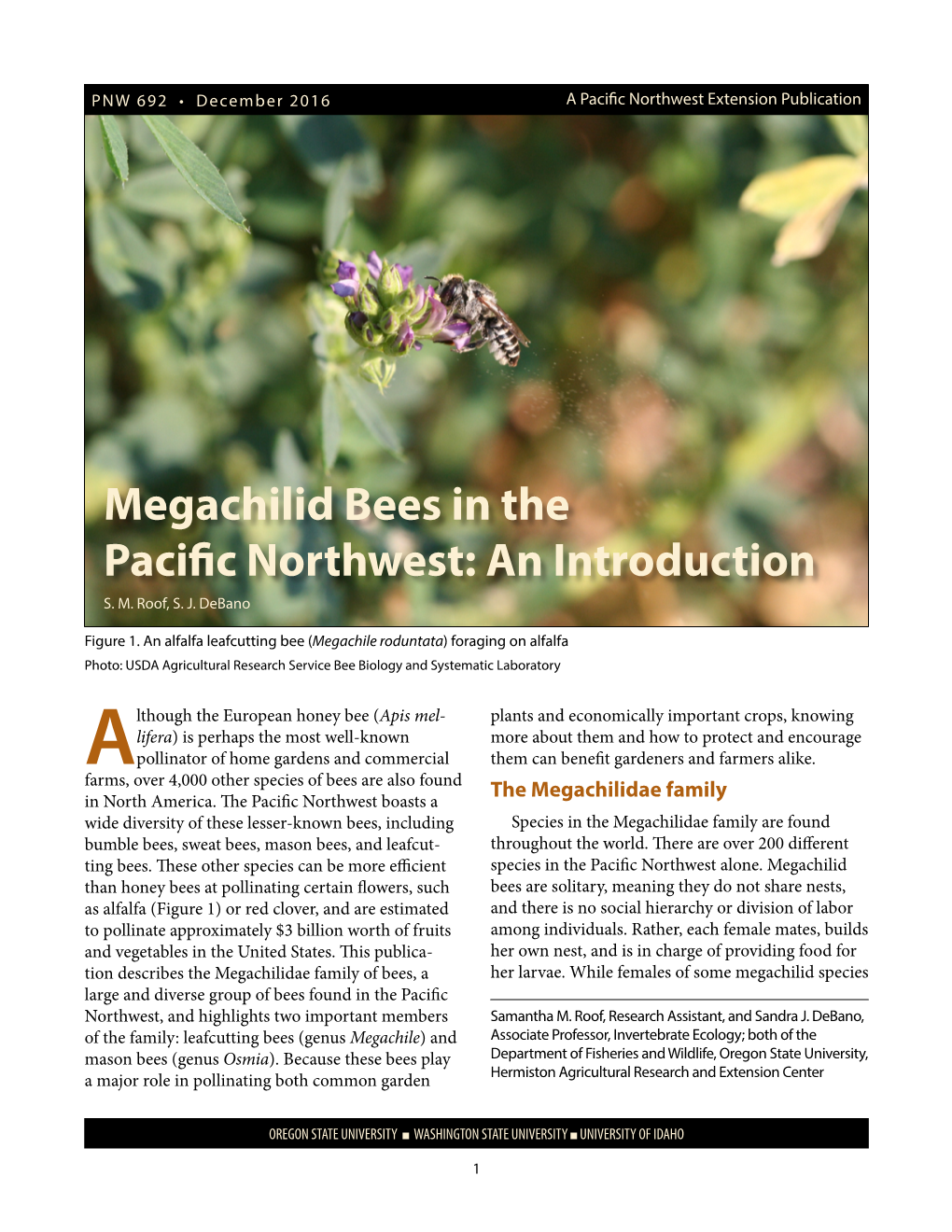 Megachilid Bees in the Pacific Northwest: an Introduction S