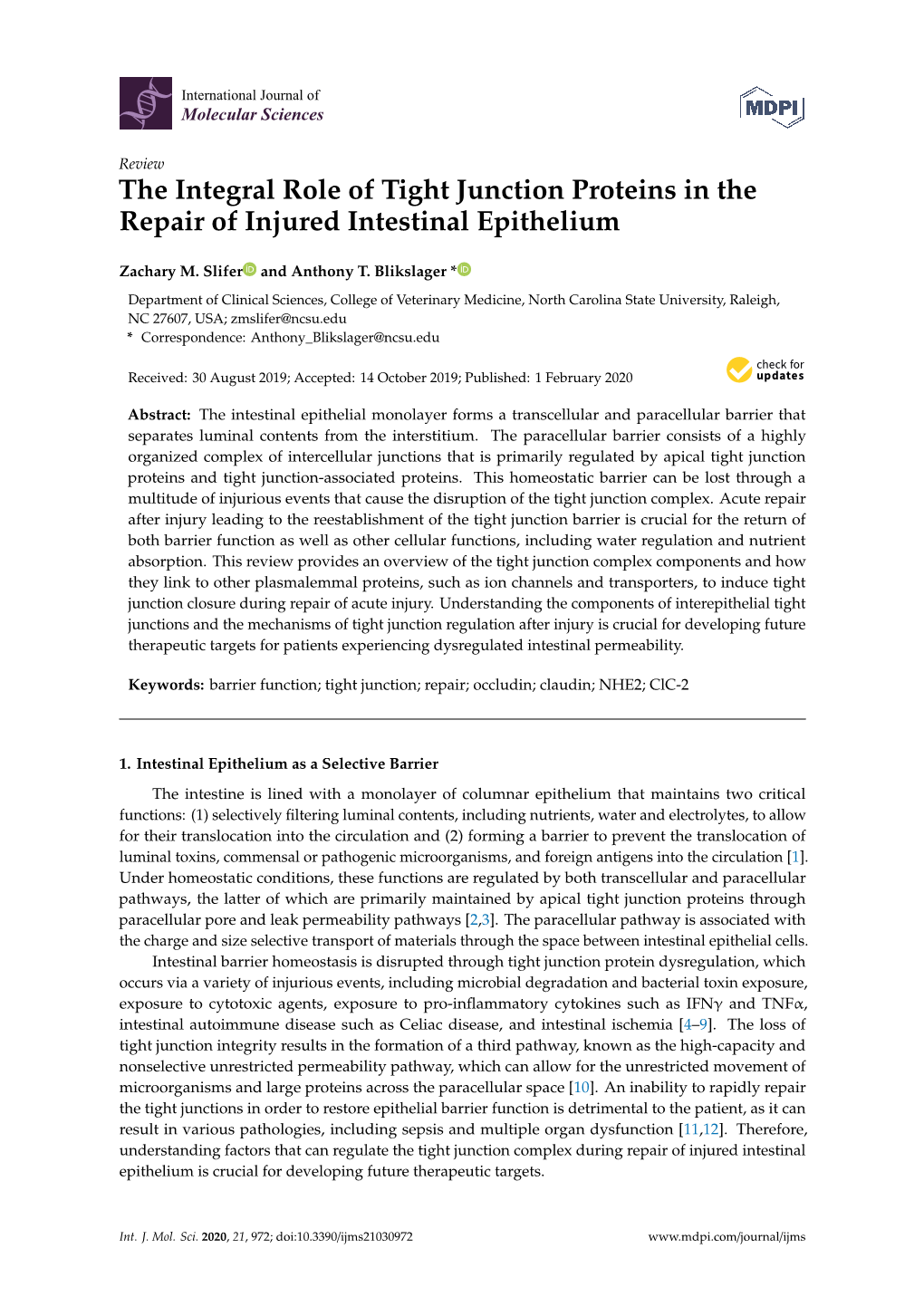 The Integral Role of Tight Junction Proteins in the Repair of Injured Intestinal Epithelium