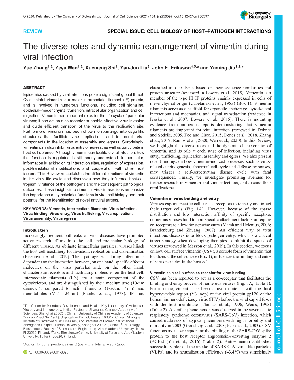 The Diverse Roles and Dynamic Rearrangement of Vimentin During Viral Infection Yue Zhang1,2,Zeyuwen1,2, Xuemeng Shi1, Yan-Jun Liu3, John E