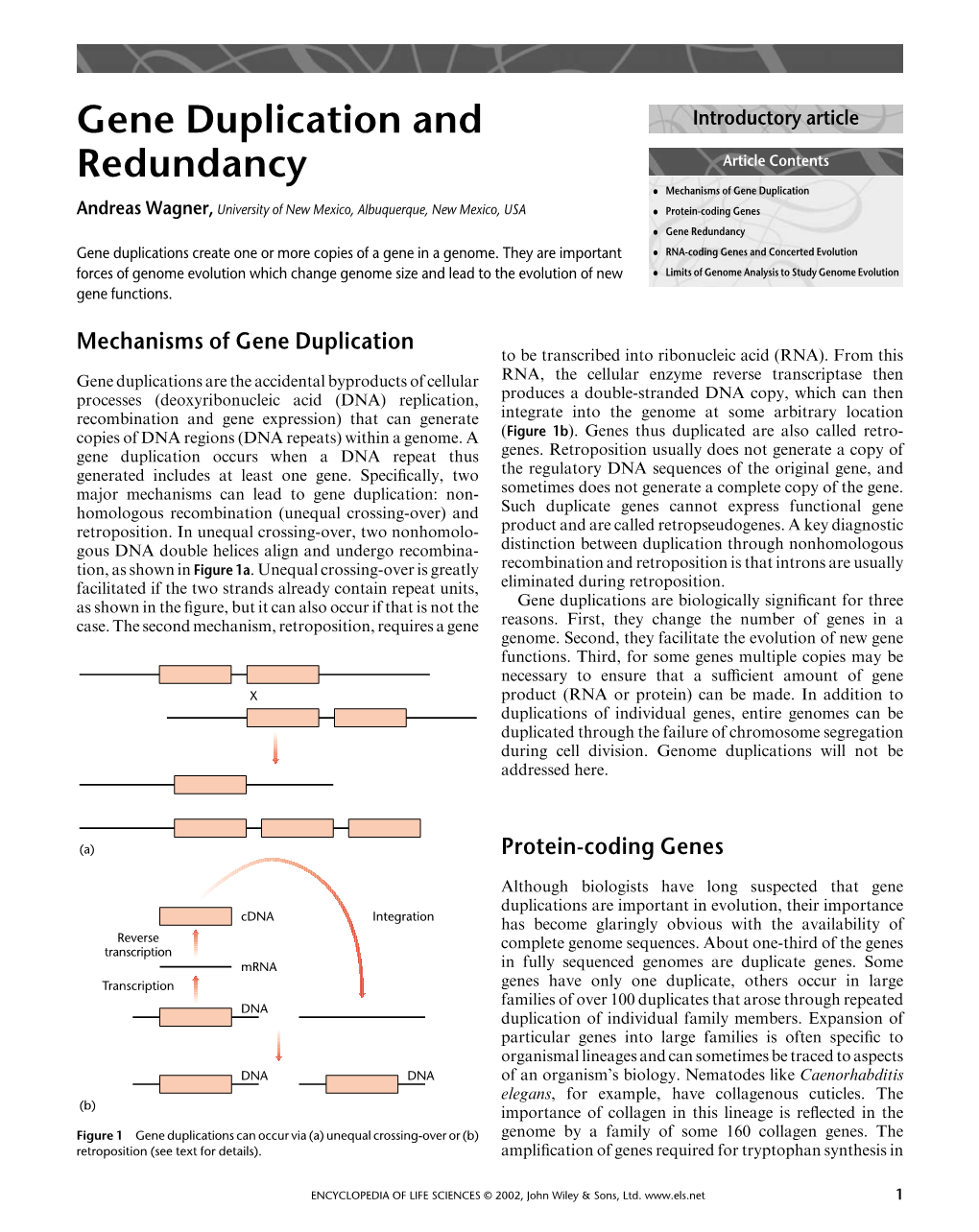 "Gene Duplication and Redundancy". In: Encyclopedia of Life Science