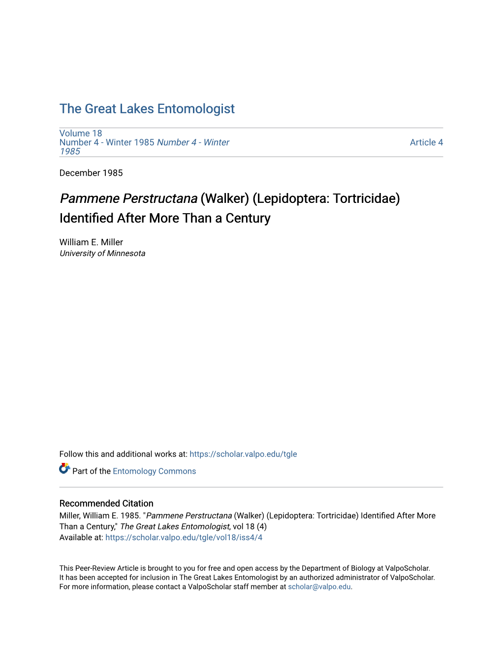 Pammene Perstructana (Walker) (Lepidoptera: Tortricidae) Identified After More Than a Century