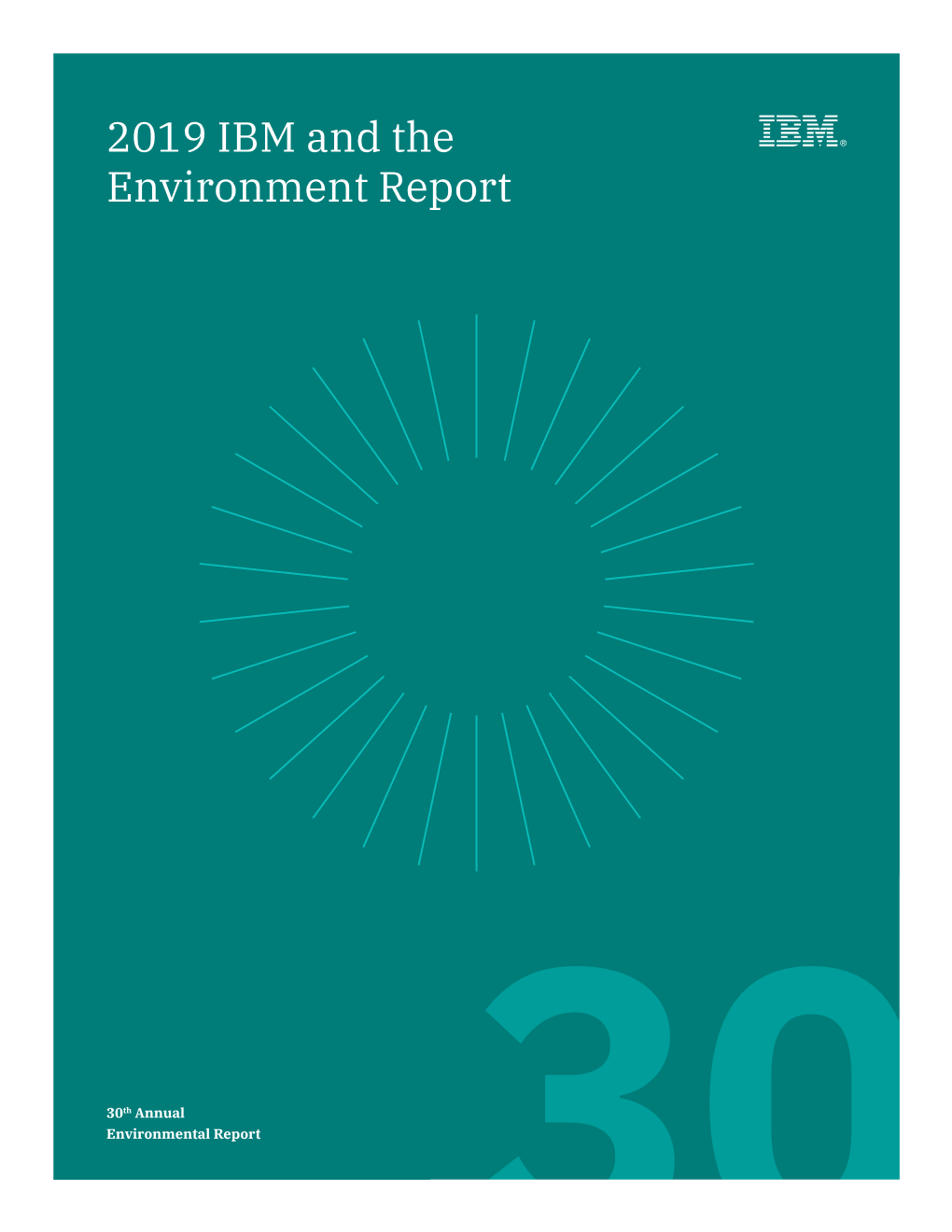 2019 IBM and the Environment Report