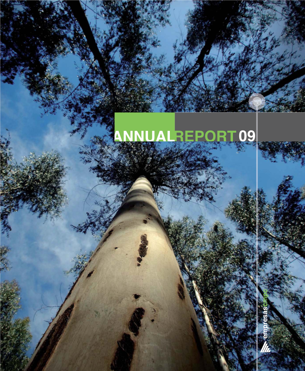 Report Annual
