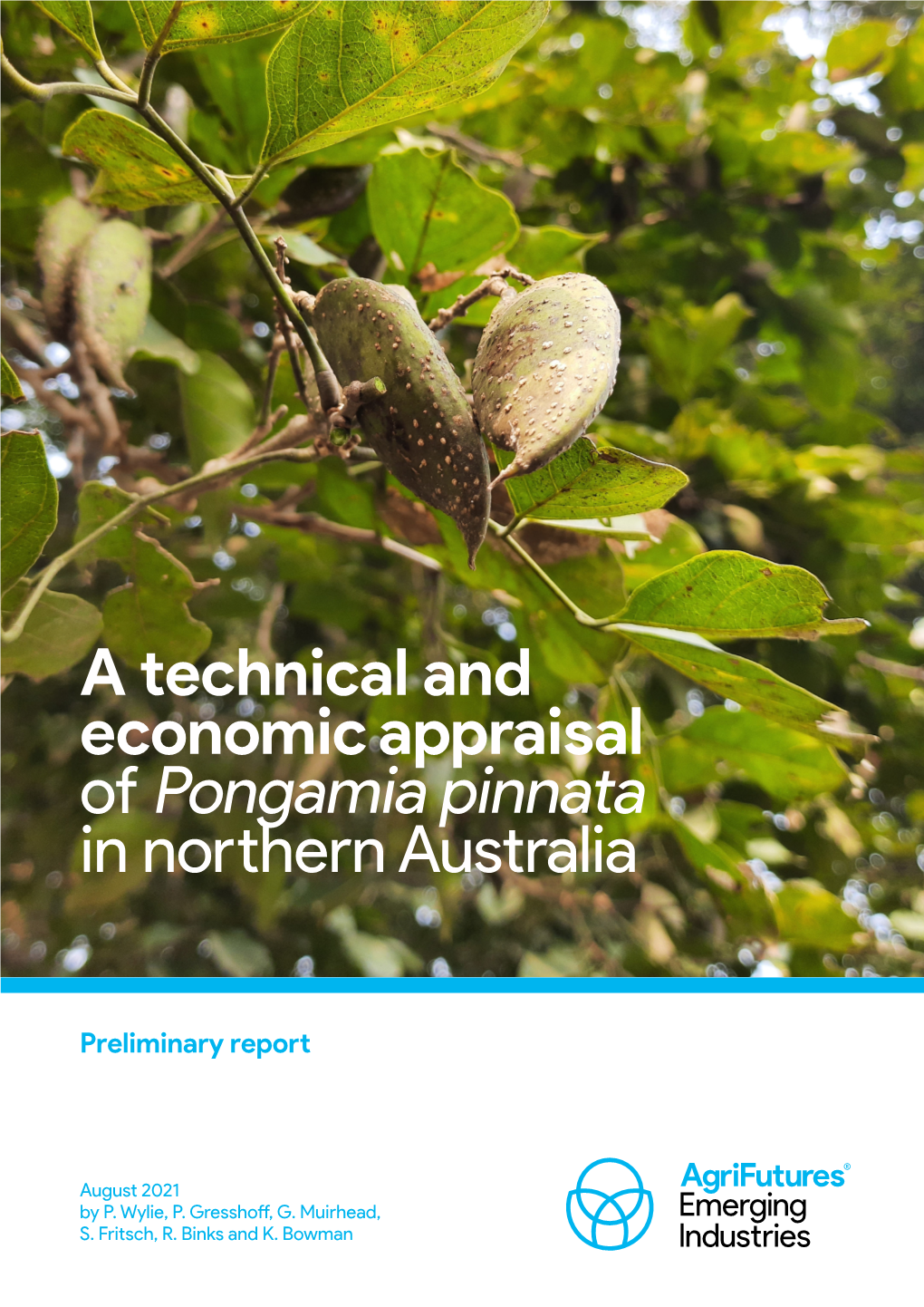 A Technical and Economic Appraisal of Pongamia Pinnata in Northern Australia