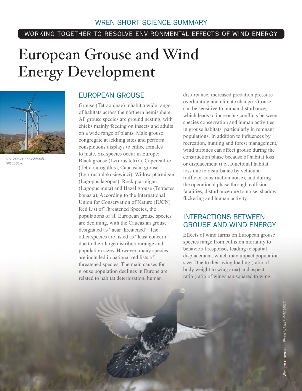 Download the European Grouse Short Science Summary