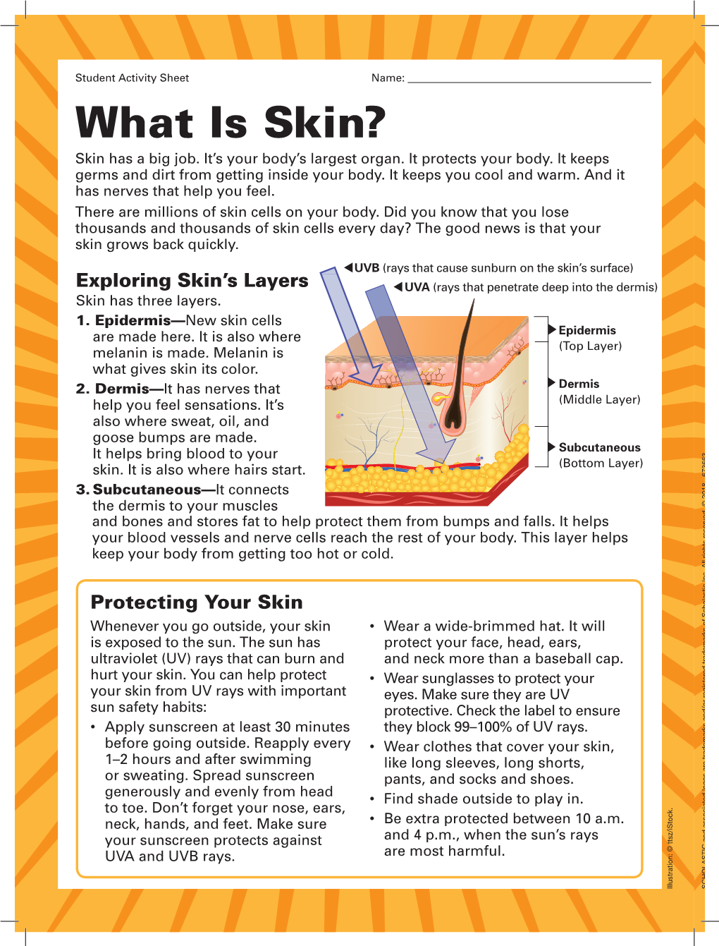 What Is Skin? Skin Has a Big Job