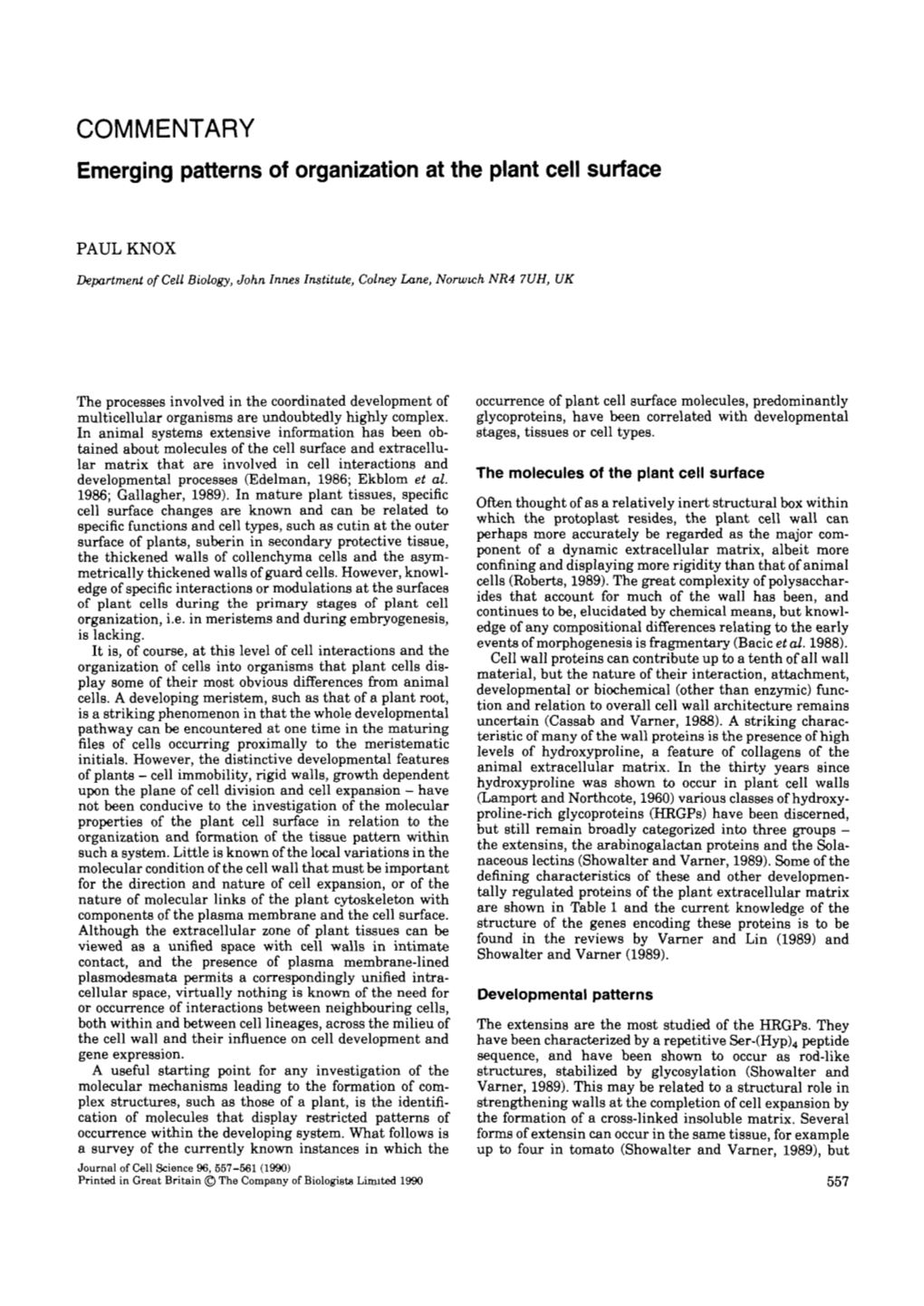 COMMENTARY Emerging Patterns of Organization at the Plant Cell Surface