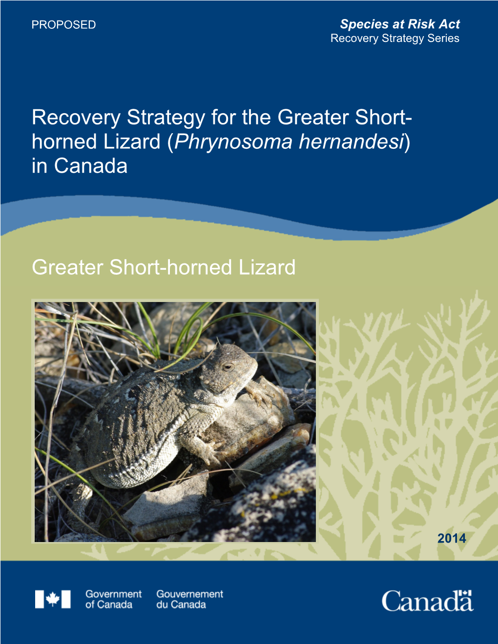 Greater Short-Horned Lizard (Phrynosoma Hernandesi) in Canada [Proposed]