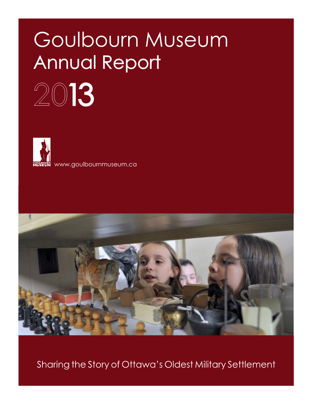 2013 Annual Report