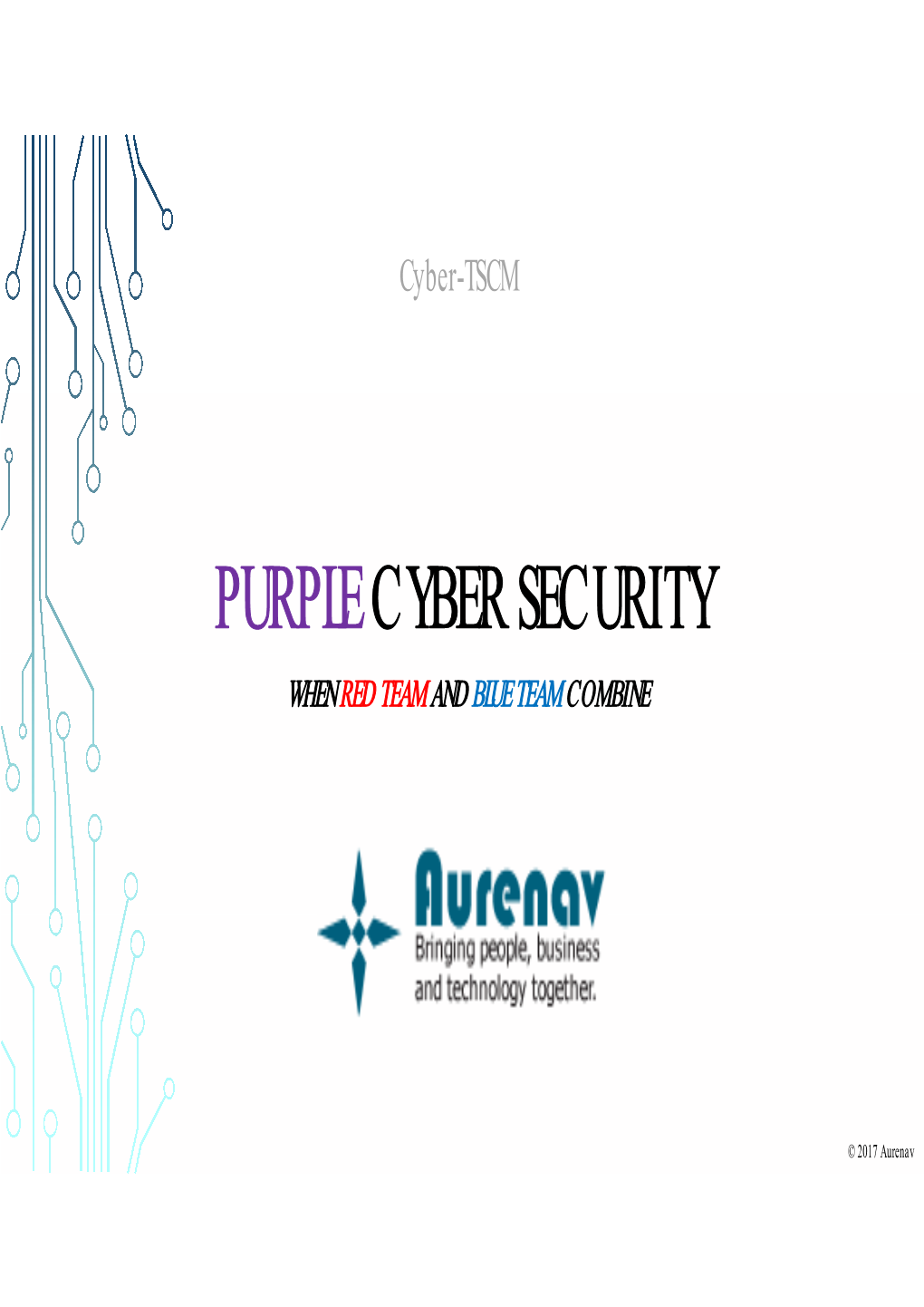 Purple Cyber Security When Red Team and Blue Team Combine