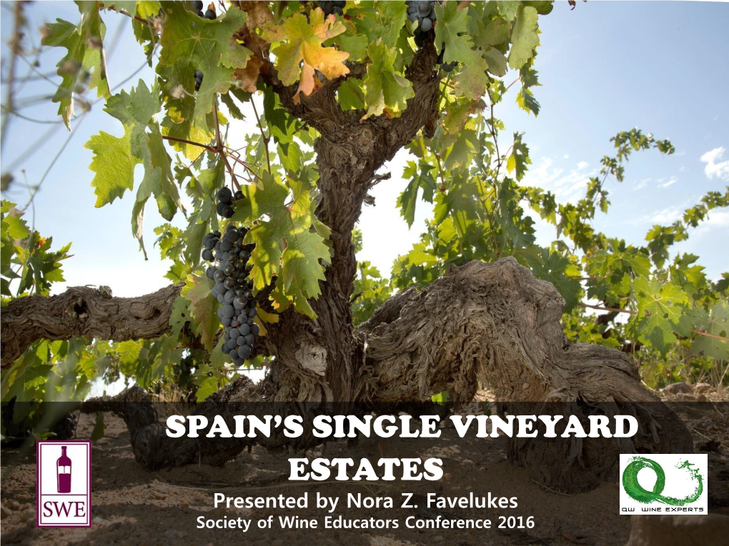 Spain's Single Vineyard Estates