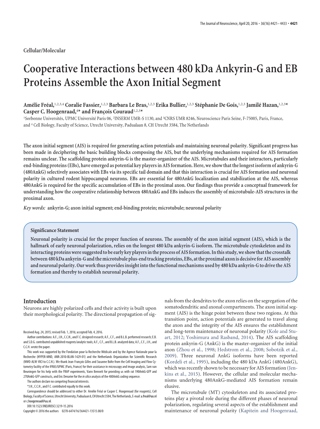 Cooperative Interactions Between 480 Kda Ankyrin-G and EB Proteins Assemble the Axon Initial Segment