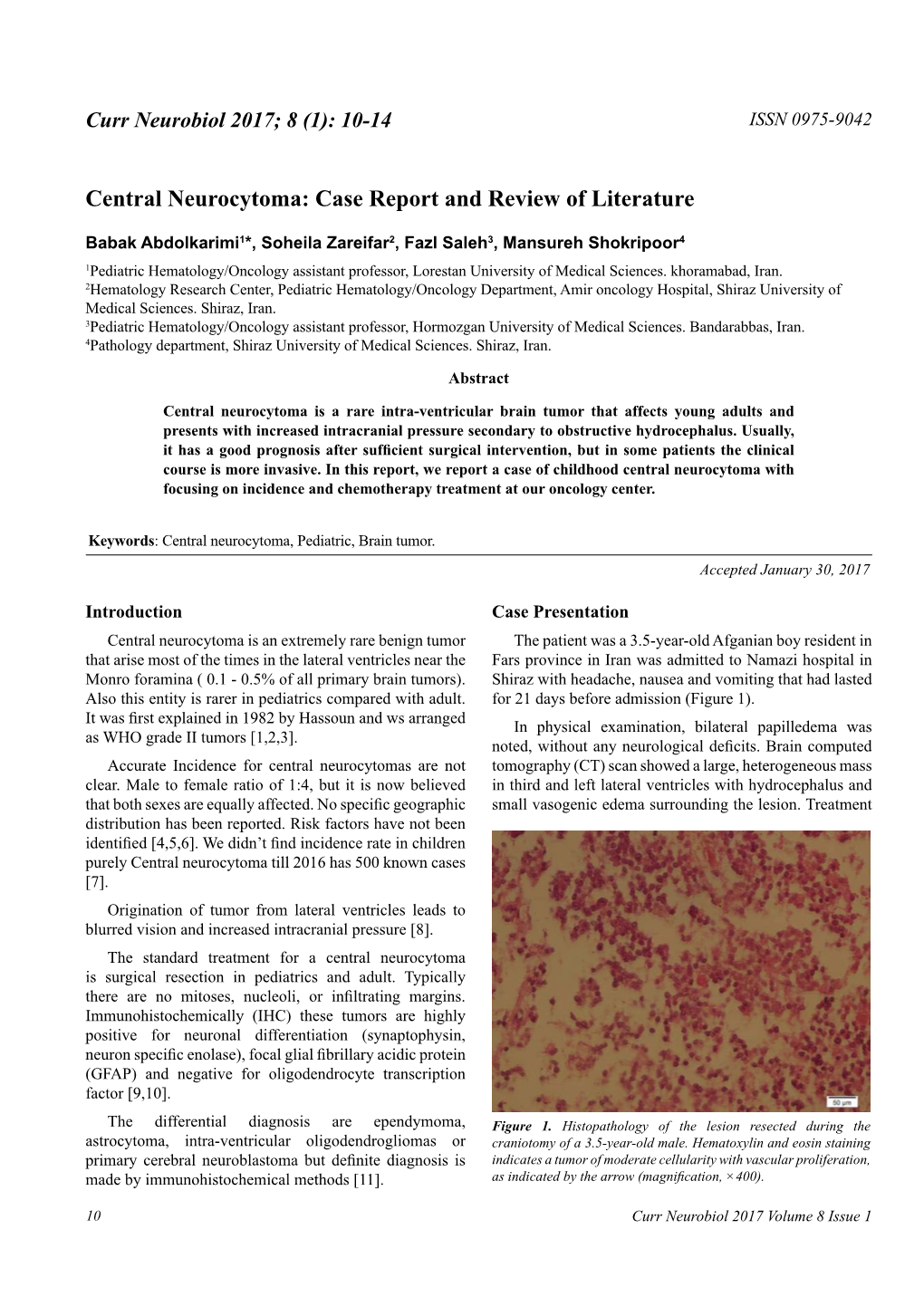 Central Neurocytoma: Case Report and Review of Literature