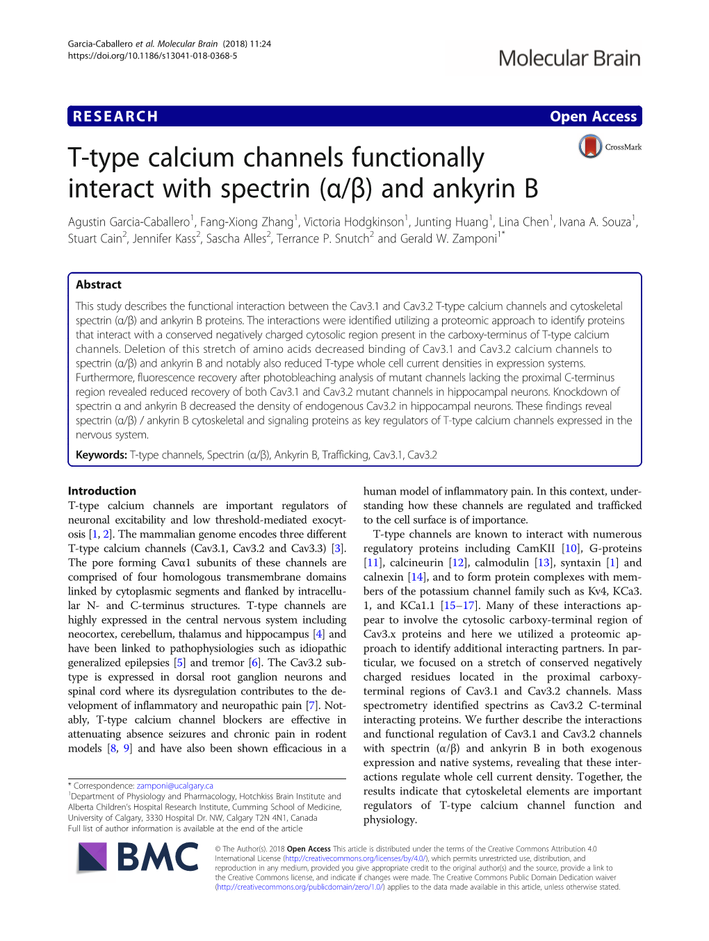 T-Type Calcium Channels Functionally Interact with Spectrin (Α/Β)