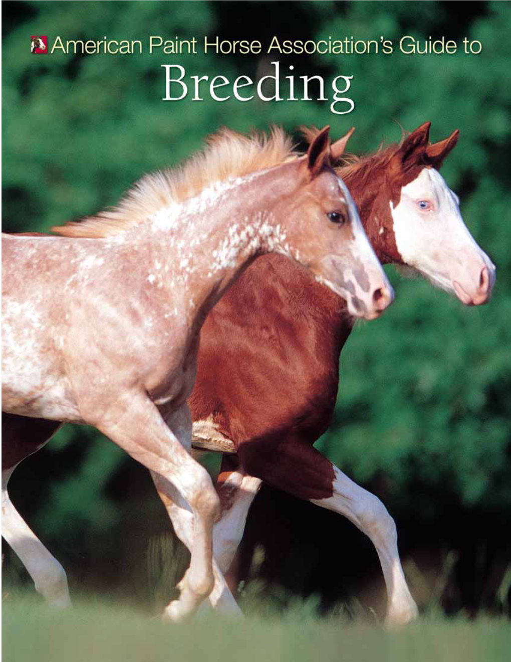 Breedingguide 12/14/07 6:45 PM Page a 05Breedingguide 12/14/07 6:45 PM Page B