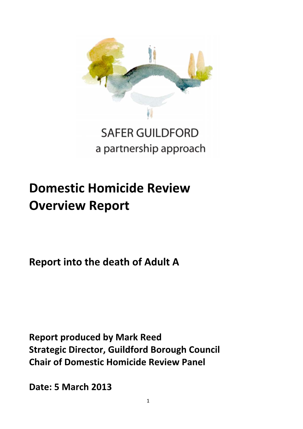 Domestic Homicide Review Overview Report