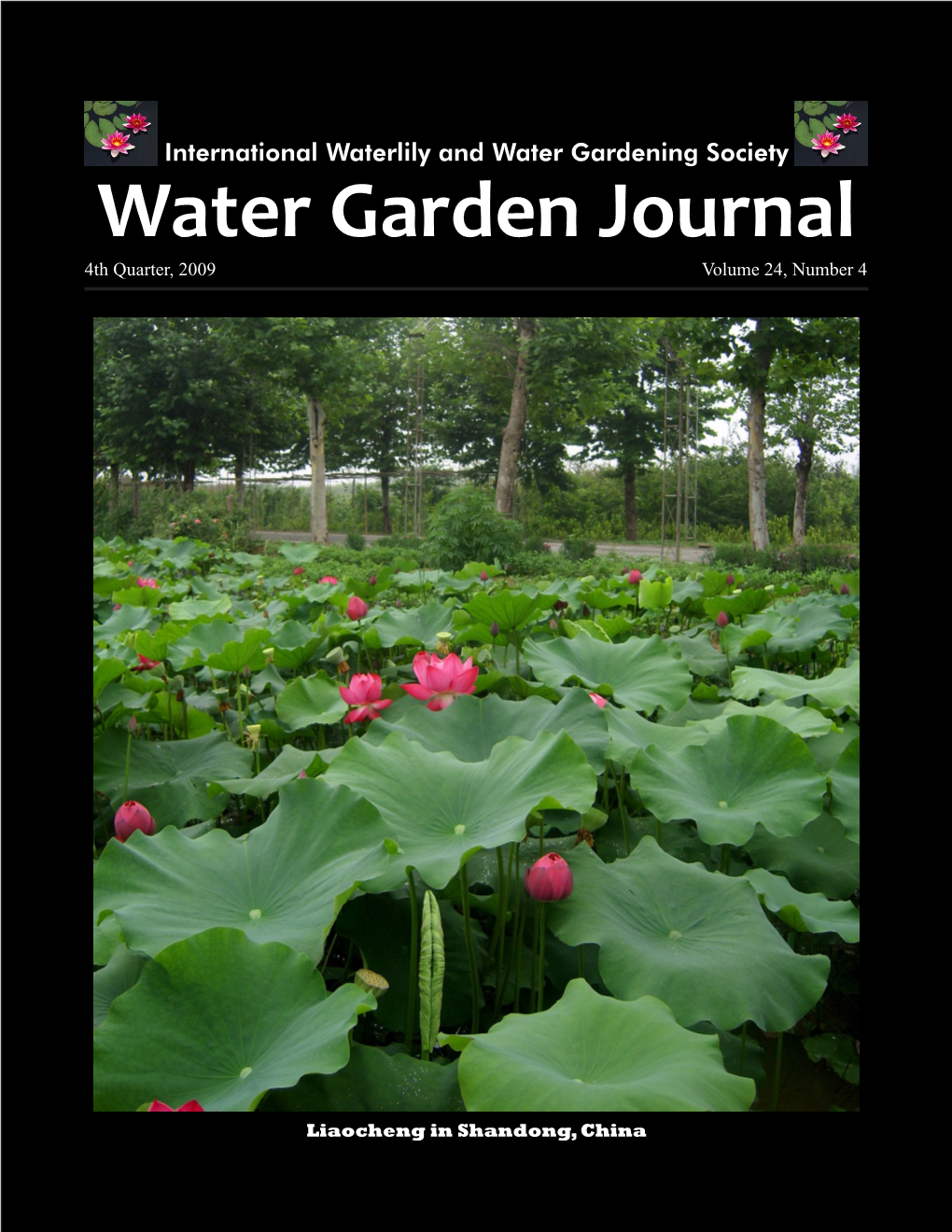 Water Garden Journal 4Th Quarter, 2009 Volume 24, Number 4