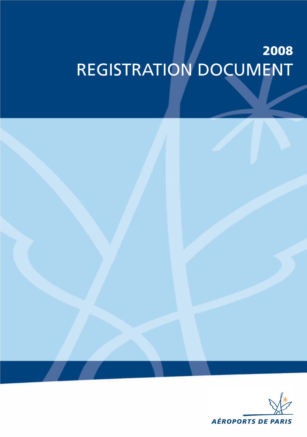 2008 Registration Document