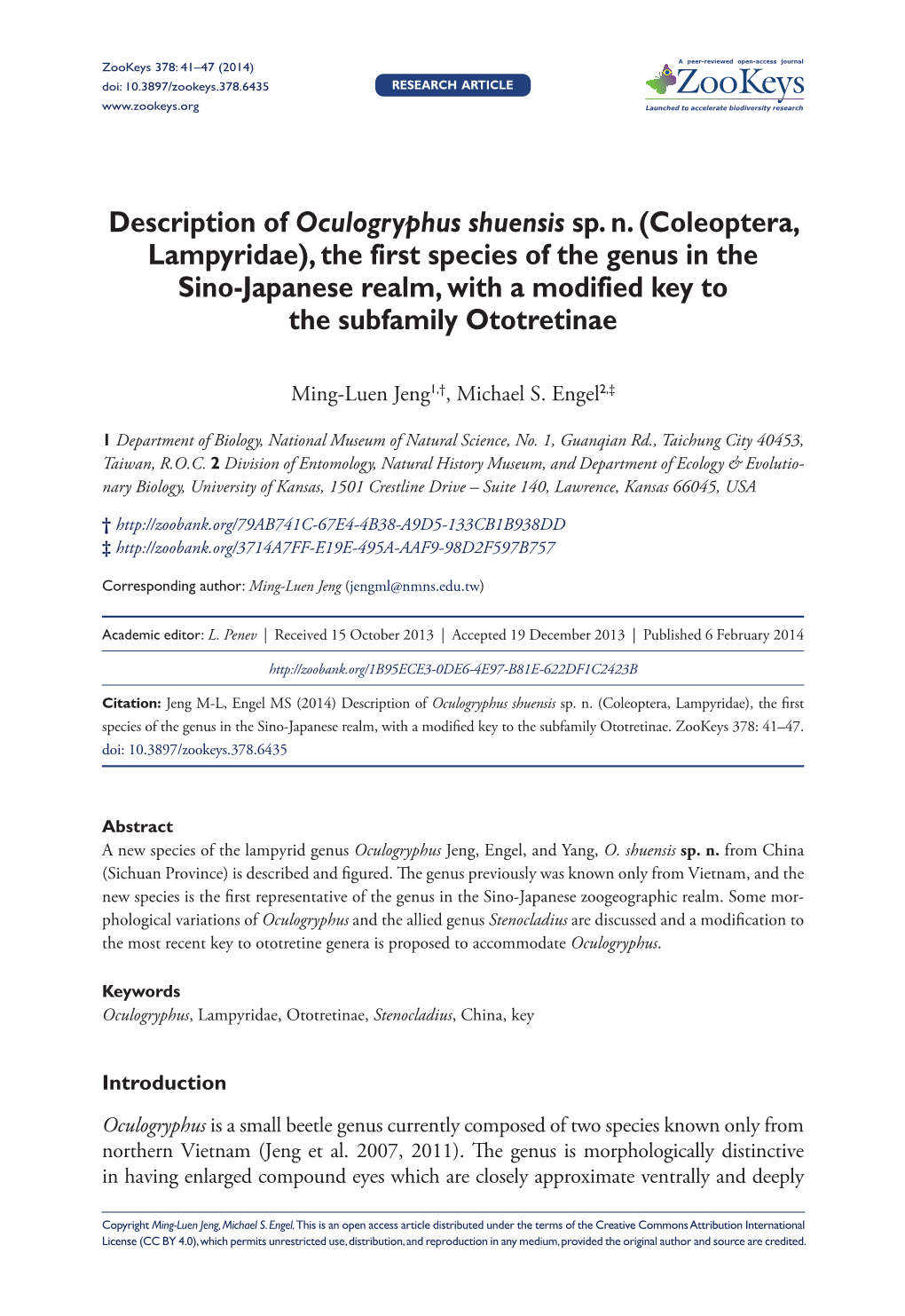 Description of Oculogryphus Shuensis Sp. N. (Coleoptera